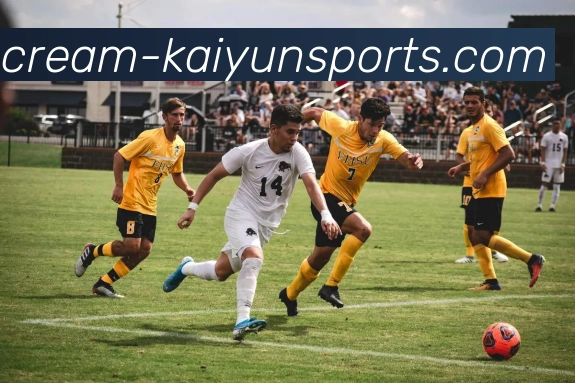 开云下载品牌故事